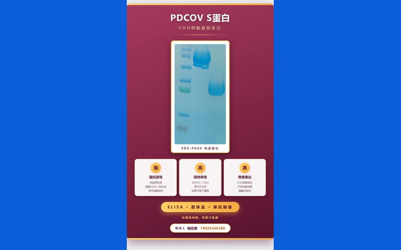 PDCoV S 蛋白新品