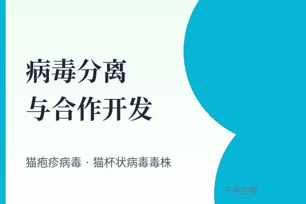 分离猫杯状病毒